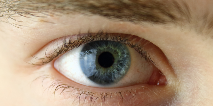 Lentes de contacto y salud ocular: Mantén tus ojos sanos y protegidos